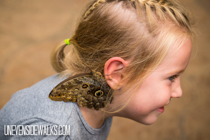 Little Girl with Butterfly on Her Hair and Ear